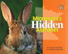 Minnesota's hidden alphabet