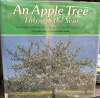 An apple tree through the year
