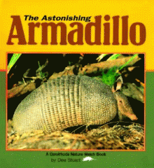 The astonishing armadillo