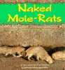 Naked mole-rats