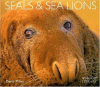 Seals & sea lions