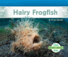 Hairy frogfish