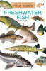 Freshwater fish