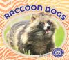 Raccoon dogs