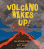 Volcano wakes up!
