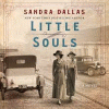 Little souls : a novel