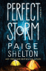 Perfect storm : a mystery