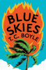 Blue skies : a novel