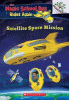 Satellite space mission