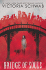 Bridge of souls