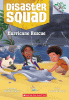Hurricane Rescue by Rajan, Rekha S. , Author