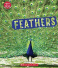 Feathers