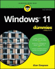 Windows 11