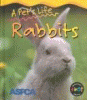 Rabbits