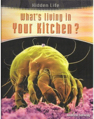 What's living in your kitchen?