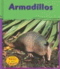 Armadillos