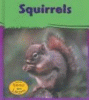 Squirrels