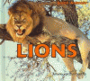 Lions