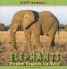 Elephants : from trunk to tail