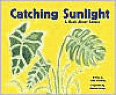 Catching sunlight : a book about leaves