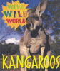 Kangaroos