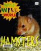 Hamsters