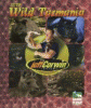Into wild Tasmania
