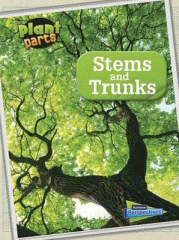Stems and trunks