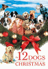 The 12 dogs of Christmas