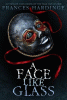 Book cover of A face like glass