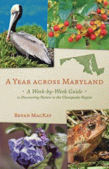 A year across Maryland : a week-by-week guide to discovering nature in the Chesapeake region