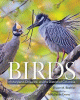 Birds of Maryland, Delaware, and the District of C...