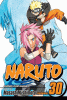 Naruto. Vol. 30, Puppet masters