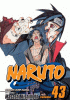 Naruto. Vol. 43, The man with the truth