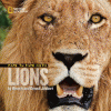 Face to face with lions