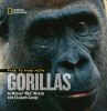 Face to face with gorillas