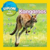 Kangaroos
