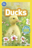 Ducks
