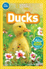 Ducks