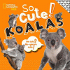 So cute! koalas