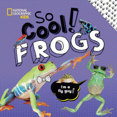 So cool! : Frogs