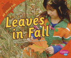 Leaves in fall