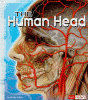 The human head