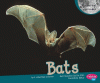 Bats