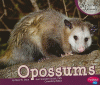 Opossums