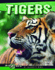 Tigers