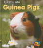 Guinea pigs