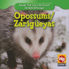 Opossums = Zarigüeyas