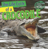 The life cycle of a crocodile