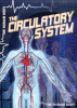 The circulatory system